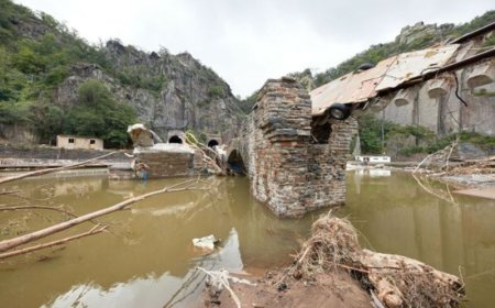Uni Bonn and IZA reveal unexpected results on climate issue