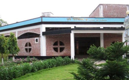 সিএনজি চালকের শ্লীলতাহানির শিকার বাকৃবি শিক্ষার্থী