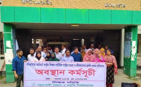 শিক্ষক লাঞ্ছনার ঘটনাকে ‘মুরগী চুরি’র সাথে তুলনা অফিসার্স এসোসিয়েশনের