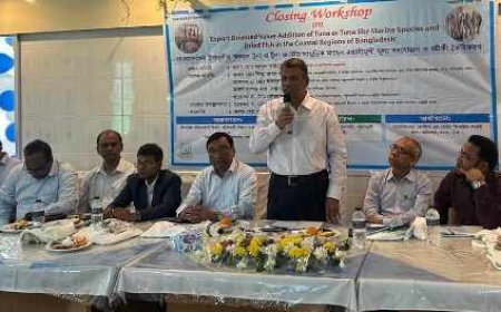 স্বাস্থ্যসম্মত ও রপ্তানিযোগ্য শুটকি উৎপাদনে এগিয়ে বাংলাদেশ