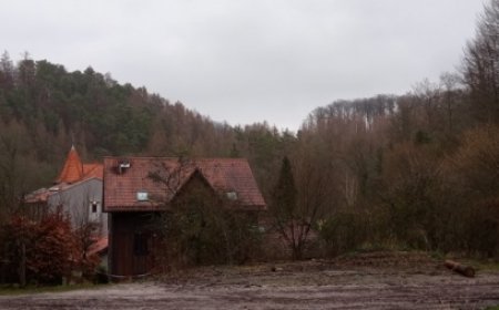 Reflections of the World