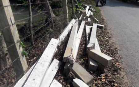 ১৪৪ ধারা অমান্য করে সীমানা পিলার ভেঙ্গে দিয়েছে প্রতিপক্ষ