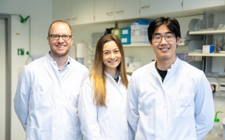 Forschende entschlüsseln neue Erkenntnisse zum Immunsystem