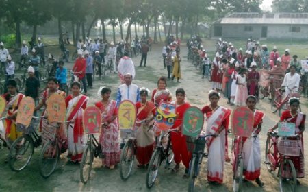 নববর্ষে ১৭ কিলোমিটার জুড়ে শোভাযাত্রা ৩০০ শিক্ষার্থীর