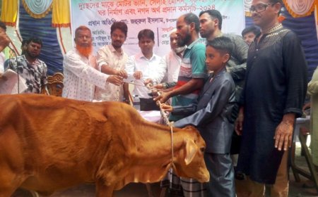 নড়াইলে গরু ছাগল ভ্যান ও সেলাই মেশিন বিতরণ