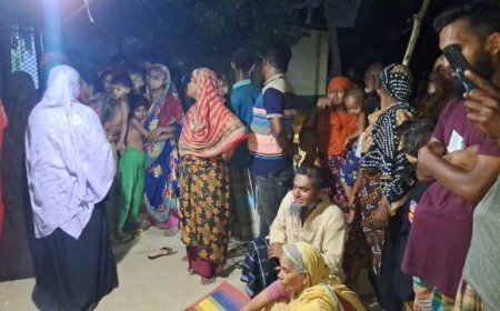 বাবা-মায়ের বেখেয়ালে পানিতে ডুবে ভাইবোনের মৃত্যু