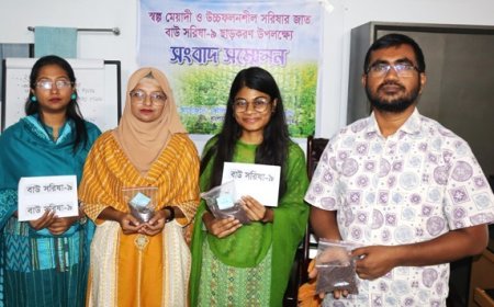 হেক্টর প্রতি দুই টন ফলন দিবে স্বল্পমেয়াদী ‘বাউ সরিষা-৯’
