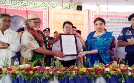 সুলতান মেলার সমাপনী, পদক পেলেন চিত্রশিল্পী নাদভী