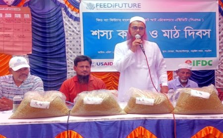 নড়াইলে উন্নত জাতের ধানকর্তন ও মাঠ দিবস অনুষ্ঠিত