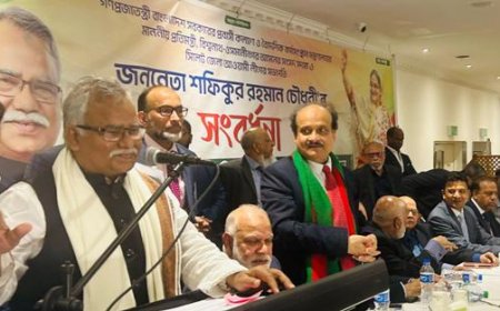 প্রবাসীদের সমস্যা সমাধানে কার্যকর ব্যবস্থা নেওয়া হবে: প্রতিমন্ত্রী