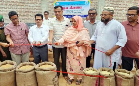নড়াইলে বোরো ধান ও চাল সংগ্রহ অভিযানের উদ্বোধন