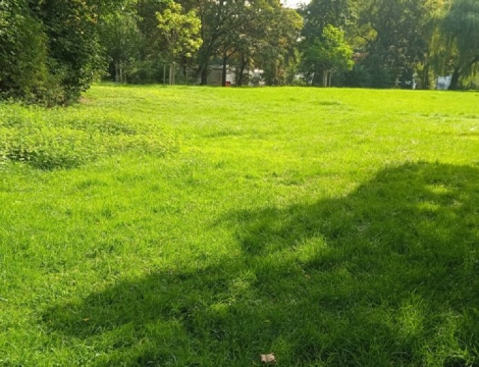 Three Spanish Organisations Filed Complaint for Misleading Advertising