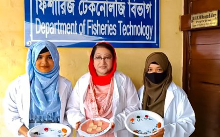 রাসায়নিক সাবান ও ক্যান্ডির বিকল্প সমাধান সামুদ্রিক শৈবাল