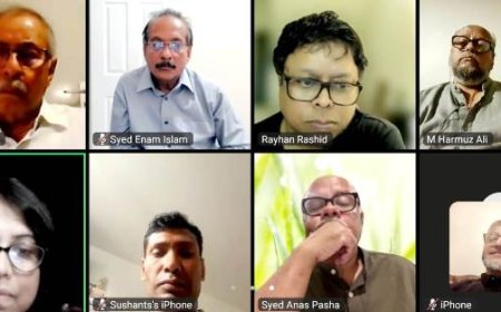 জাহানারা ইমামের ৩০তম মৃত্যুবার্ষিকীতে ভার্চুয়াল স্মরণ অনুষ্ঠান