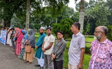 বাকৃবিতে মুক্তিযোদ্ধার সন্তানদের মানববন্ধন ও বিক্ষোভ