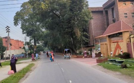 ক্যাম্পাস ছাড়তে বাধ্য হলেন শিক্ষার্থীরা, হল সিলগালা