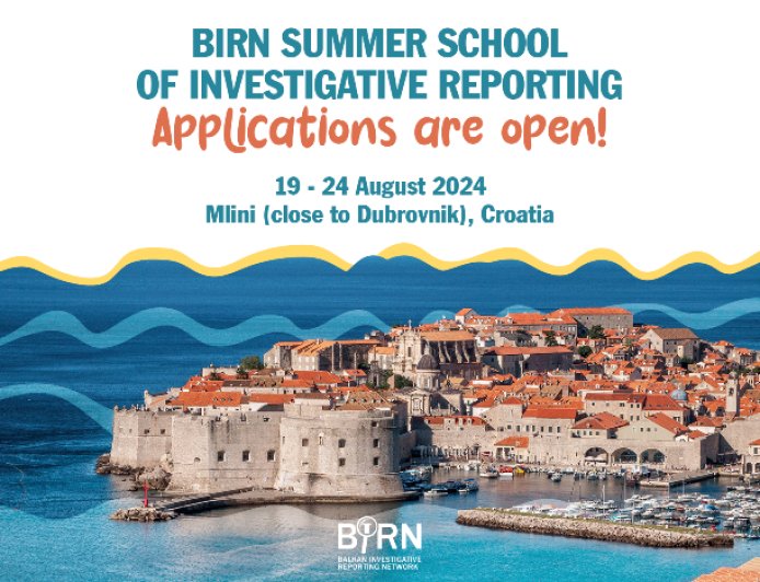 Applications Open for BIRN Summer School of Reporting