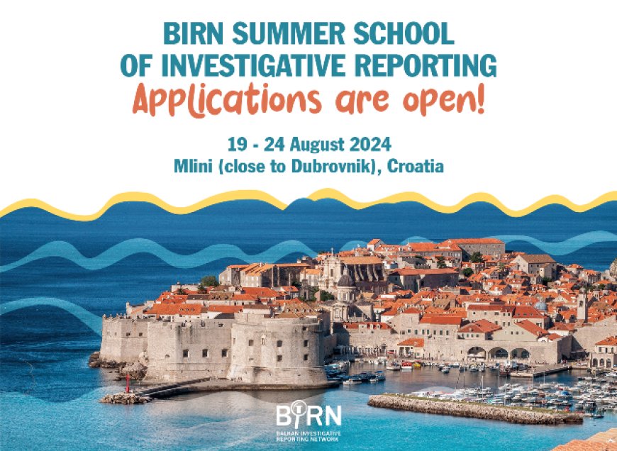 Applications Open for BIRN Summer School of Reporting