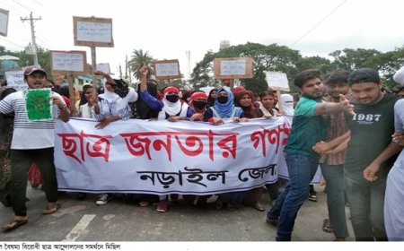 নড়াইলে গুলিবিদ্ধ ২, আহত ২০, পুলিশের ভ্যানে আগুন