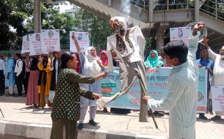 পাচারকৃত শত বিলিয়ন ডলার ফেরত আনুন : নতুনধারা