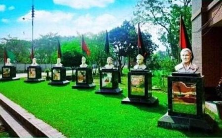 দুর্নীতি ও অনিয়ম তদন্তে পবিপ্রবিতে ৪৯ সদস্যের কমিশন