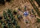 AI shows how crops develop: Tool developed at Uni Bonn