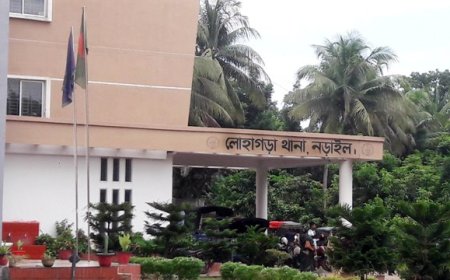 নড়াইলে প্রতিপক্ষের হামলায় দুই ভাই নিহত, অপর ভাই আহত