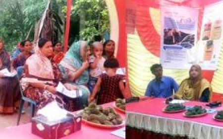 নড়াইলে উন্নত জাতের করলার মাঠ দিবস অনুষ্ঠিত