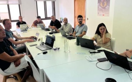 TPM of Work Inclusion Held with Project Partners in Spain