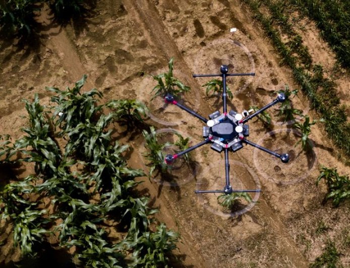 AI shows how crops develop: Tool developed at Uni Bonn