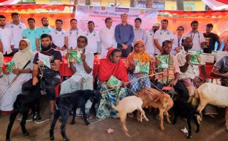 ২০০ গরুকে লাম্পি স্কিন রোগের টিকা প্রদান বাকৃবি শিক্ষার্থীদের