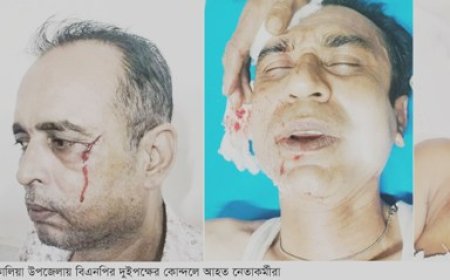 কোন্দলে বিএনপির ৫ জন আহত, সেনাবাহিনীর হাতে আটক ৪
