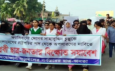 রাষ্ট্রপতির পদত্যাগ দাবিতে নড়াইলে বিক্ষোভ সমাবেশ