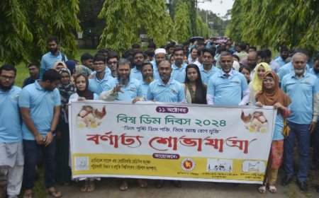 পবিপ্রবি বরিশাল ক্যাম্পাসে বিশ্ব ডিম দিবস উদযাপন