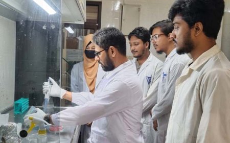 আমের আটিঁর অ্যান্টিমাইক্রোবিয়াল কার্যকারিতা পর্যবেক্ষণে সাফল্য