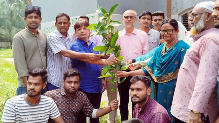 নড়াইলের লোহাগড়ায় মাসব্যাপী বৃক্ষরোপন কর্মসূচীর উদ্বোধন