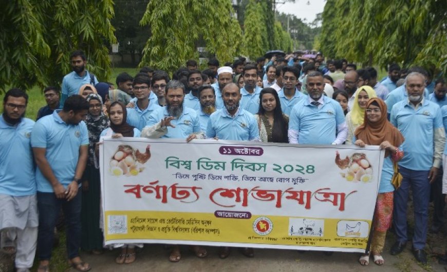 পবিপ্রবি বরিশাল ক্যাম্পাসে বিশ্ব ডিম দিবস উদযাপন 