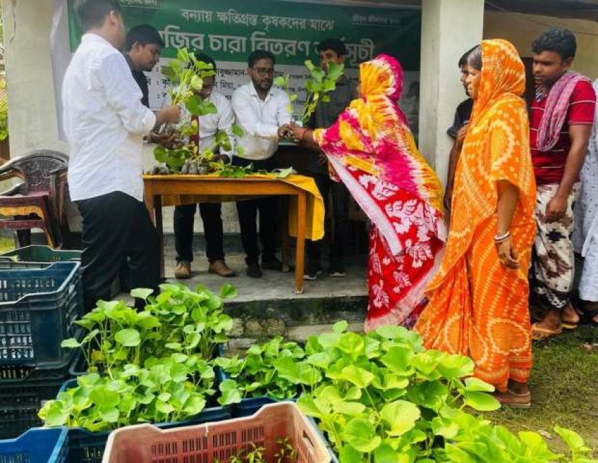 বন্যায় ক্ষতিগ্রস্তদের মাঝে বিনামূল্যে সবজির চারা বিতরণ