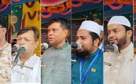 লোহাগড়ায় একই মঞ্চে বিএনপি জামায়াত খেলাফত মজলিস