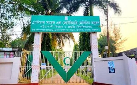 পবিপ্রবি চিকিৎসকের বিরুদ্ধে মাদকাসক্তির অভিযোগ