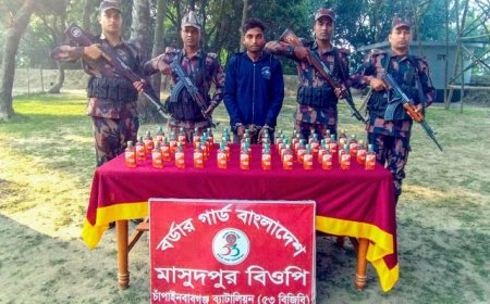 চাঁপাইনবাবগঞ্জে বিজিবি’র হাতে ভারতীয় মদসহ আটক একজন