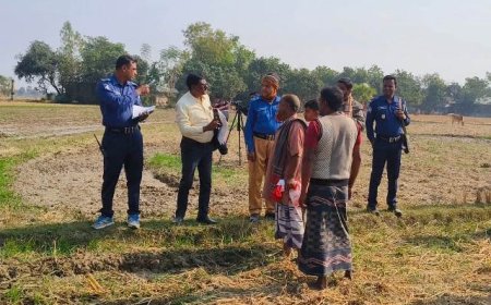 নাচোলে  ১১ বিঘা ফসল হালচাষ দিয়ে নষ্ট করলো প্রতিপক্ষ