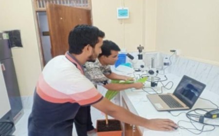নারিকেল গাছে সাদামাছির আক্রমণ: শণাক্ত নতুন প্রজাতি