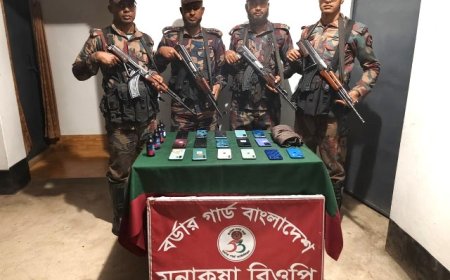 চাঁপাইনবাবগঞ্জ সীমান্তে ভারতীয় মোবাইল ও ফেন্সিডিল জব্দ