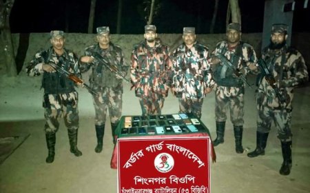সীমান্ত এলাকায় চোরাচালানকৃত ভারতীয় মোবাইল উদ্ধার