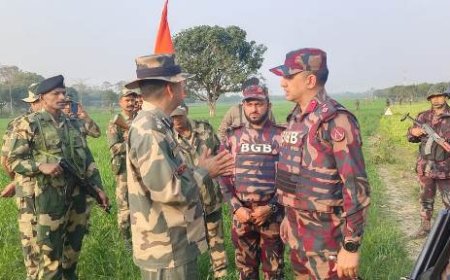 সীমান্তে উত্তেজনার ঘটনায় পতাকা বৈঠক, পরিস্থিতির উন্নতি