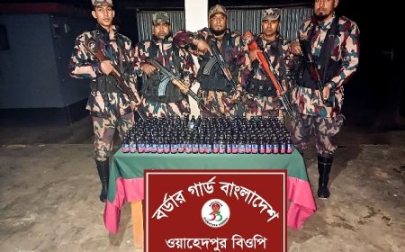 মাটির নিচে রাখা ভারতীয় ফেন্সিডিল উদ্ধার করলো বিজিবি