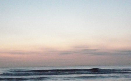  The Night of the Blue Moon and the Talking Animals