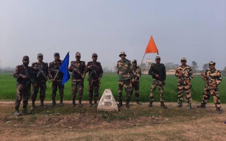 চাঁপাইনবাবগঞ্জ সীমান্তে বিএসএফ এর গুলিতে বাংলাদেশি আহত