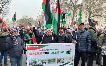 Pro-Palestine Protesters Gather at Whitehall Despite Police Restrictions